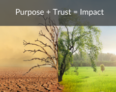 08-DECEMBER-2024 - THE EFFECT OF PURPOSE WITHOUT IMPACT