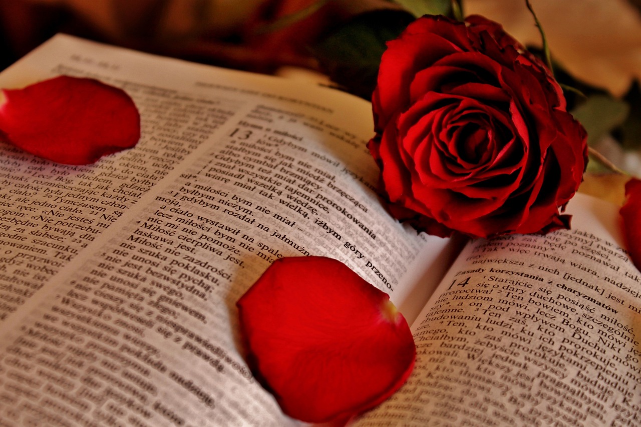 28-APRIL-2025 - THE POWER OF FORGIVENESS