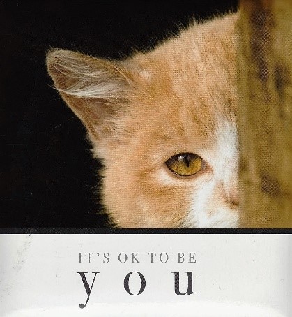 05-JUNE-2025 -BE YOU, IT'S OKAY